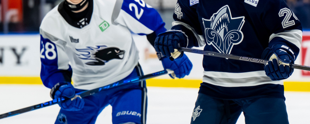 Les Sea Dogs vs L'Océanic